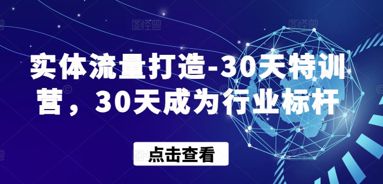 实体流量打造-30天特训营，30天成为行业标杆-小白项目网