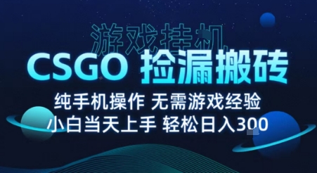 8月最新游戏搬砖，CSGO纯挂G，不需要玩游戏，实现真挂G，月入1W+【揭秘】-小白项目网