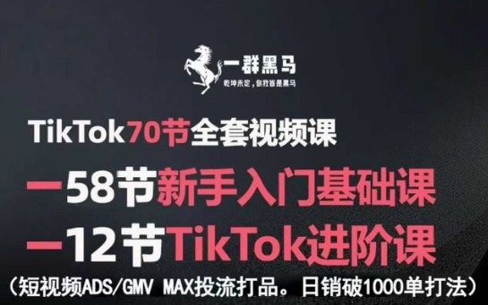 TikTok全套视频课，新手入门+进阶课，短视频ADS-GMV MAX投流打品，日销破1000单打法-小白项目网