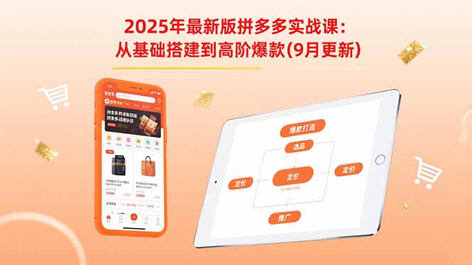 2025年最新版拼多多实战课：从基础搭建到高阶爆款(9月更新-小白项目网