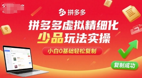 拼多多虚拟精细化少品玩法实操，小白0基础轻松复制-小白项目网