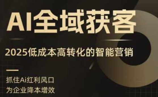 AI全域获客实训营，2025低成本高转化的智能营销，精准找客，高效营销-小白项目网