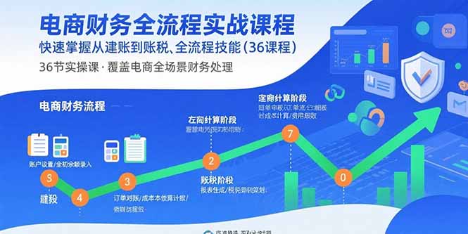 电商财务全流程实战课程：快速掌握从建账到报税的全流程技能(36节课-小白项目网