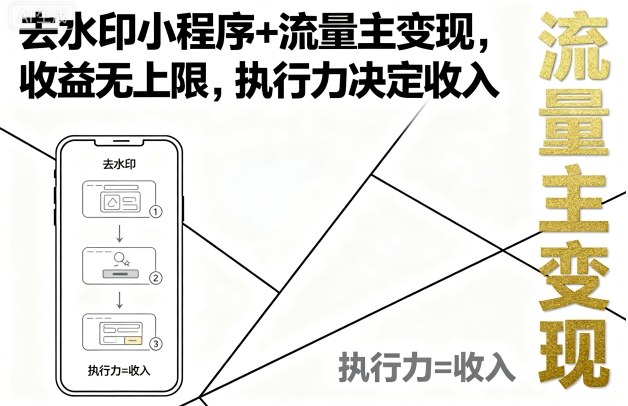 去水印小程序+流量主变现，收益无上限，执行力决定收入-小白项目网