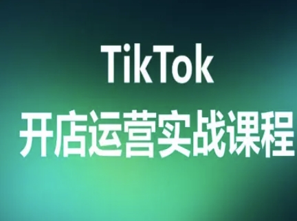 TikTok开店运营实战课程，TK跨境电商实操全流程-小白项目网