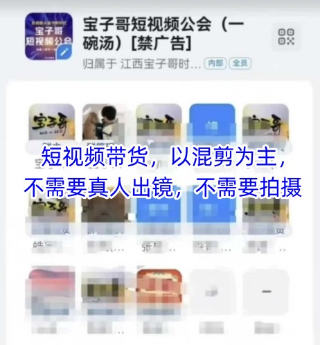宝子哥头部团队短视频带货，以混剪为主，不需要真人出镜，不需要拍摄【更新9月】-小白项目网