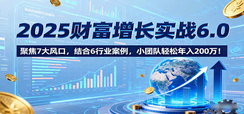 2025财富增长实战6.0，聚焦7大风口，结合6行业案例，小团队轻松年入200万！-小白项目网