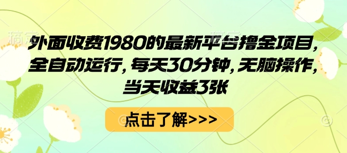 外面收费1980的最新平台撸金项目，全自动运行，每天30分钟，无脑操作，当天收益3张【揭秘】-小白项目网