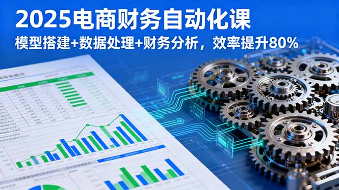 2025电商财务自动化课，模型搭建+数据处理+财务分析，效率提升80%-小白项目网