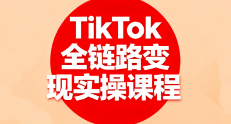 小杨老师·TikTok全链路变现实操课程-小白项目网