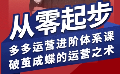 拼多多运营进阶系统课，从零起步，多多运营进阶体系课，破茧成蝶的运营之术(更新9月)-小白项目网
