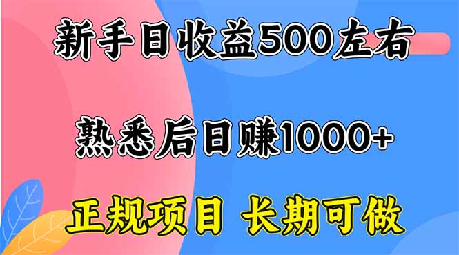 新手日收益500+ 正规项目 长期可做-小白项目网