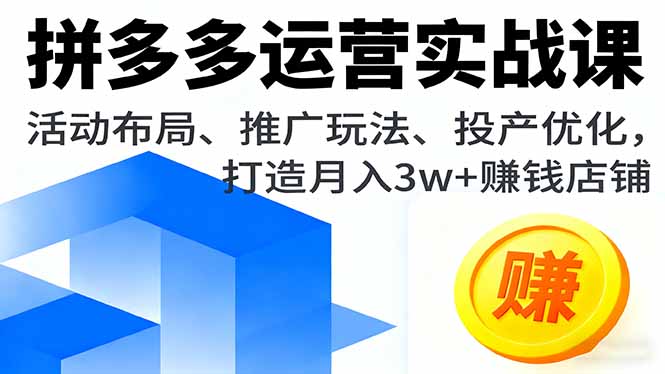 拼多多运营实战课，活动布局、推广玩法、投产优化，打造月入3w+赚钱店铺-小白项目网