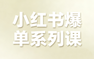 尼采老师·小红书爆单系列课-小白项目网