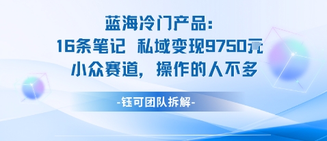 蓝海项目：16条笔记私域变现9750米小众赛道操作的人不多-小白项目网