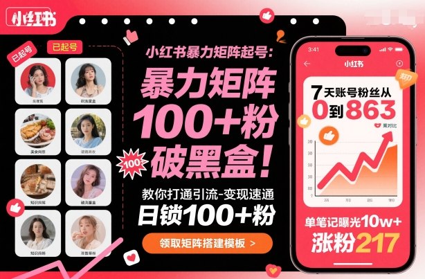 小红书暴力矩阵起号，教你打通引流-变现速通，日锁100+粉，破流量黑盒-小白项目网