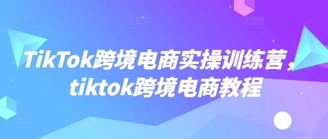 TikTok跨境电商实操训练营，tiktok跨境电商教程-小白项目网