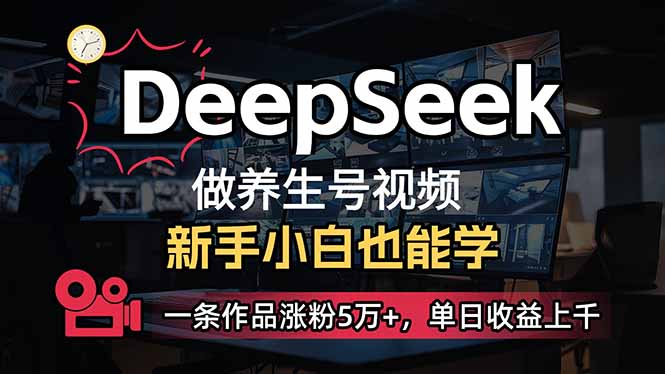（14270期）小白用DeepSeek做养生号，一条作品涨粉5万+，单日收益上千-小白项目网