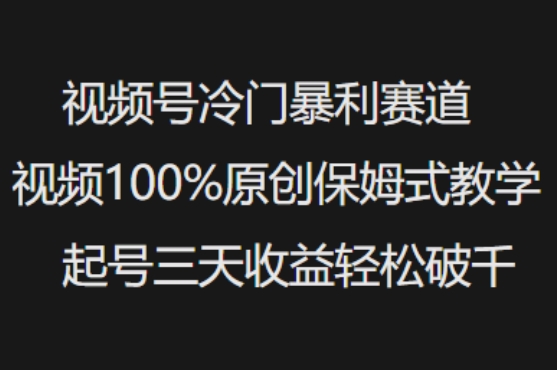 视频号冷门暴利赛道视频100%原创保姆式教学起号三天收益轻松破千-小白项目网