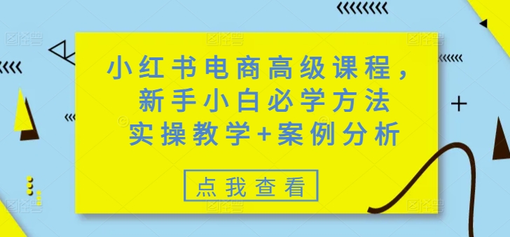 小红书电商高级课程，新手小白必学方法，实操教学+案例分析-小白项目网
