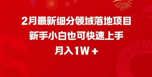 2月最新细分领域落地项目，新手小白也可快速上手，月入1W-小白项目网